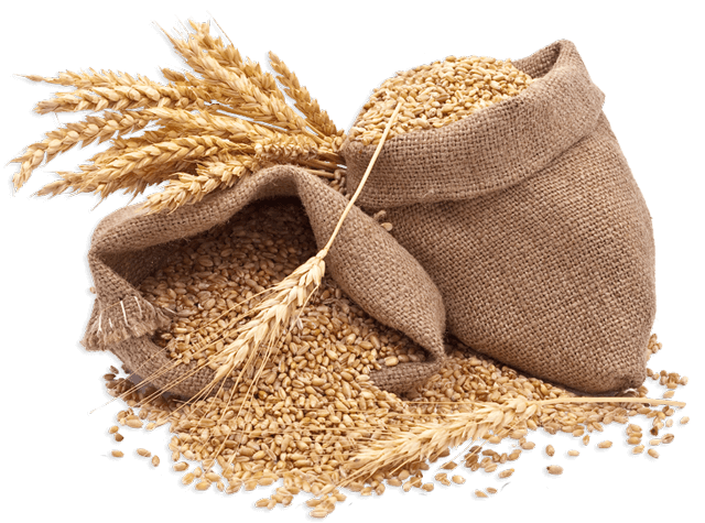 Agricultura Perez: agricultura sostenible